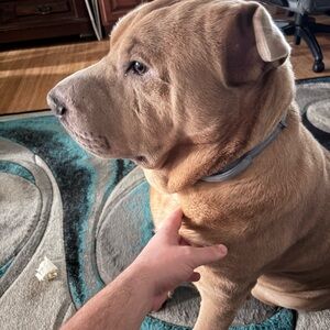 Meet your Posher, Cole